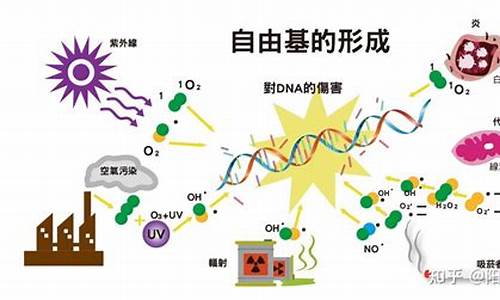 自由基 free radical_自由基是什么